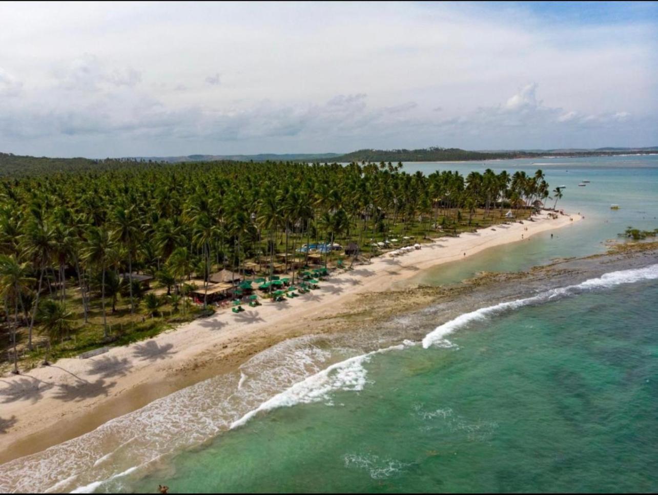 Flat Beira Mar - Carneiros Beach Resort Tamandaré Zewnętrze zdjęcie